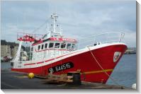 Saint-Malo (2004-08-11) LE Zenith apr&egrave;s un car&eacute;nage &agrave; Saint-Malo